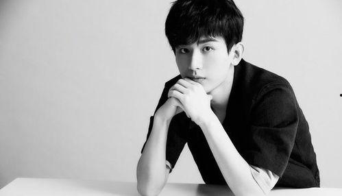 成毅最新爆料阳阳,阳阳背后的故事与成长历程  第1张