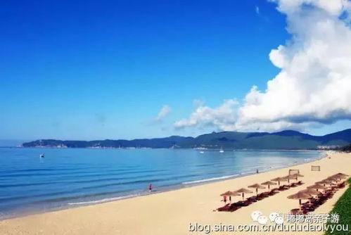 海南海边最新消息爆料,神秘海岛发现珍稀生物,旅游胜地再掀热潮 第3张 海南海边最新消息爆料,神秘海岛发现珍稀生物,旅游胜地再掀热潮 第3张