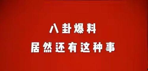娱乐爆料八卦模板,当红明星背后的惊人真相! 第2张 娱乐爆料八卦模板,当红明星背后的惊人真相! 第2张